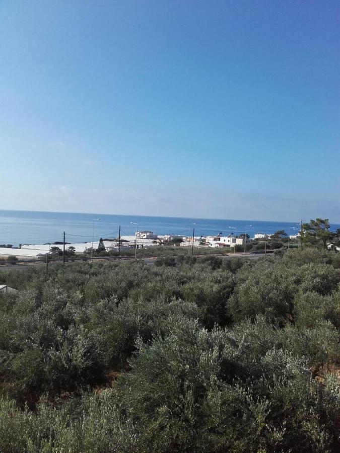 Pericles Traditional Cretan Home Stavrokhorion 外观 照片